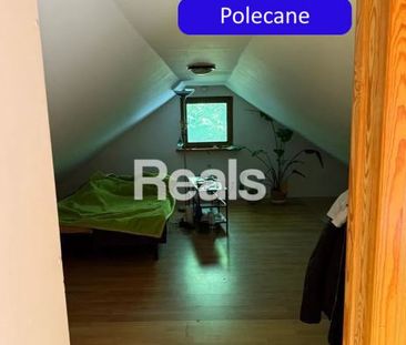 Pruszkowski, Michałowice, Pęcice, Piachy - Photo 4