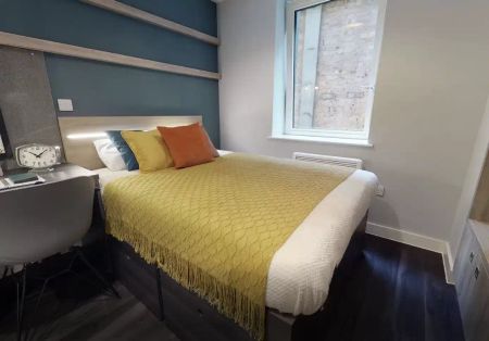 Bronze Studio Plus - Photo 3