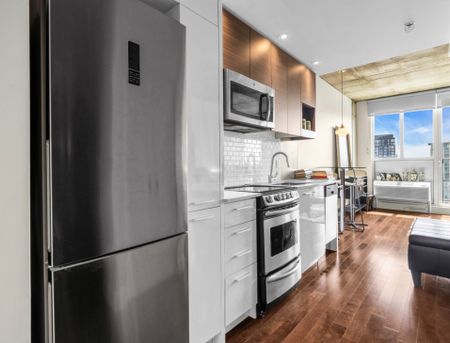 Appartement à louer - Montréal (Ville-Marie) (La Cité du Multimédia) - Photo 3