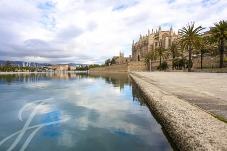 Palma de Mallorca, Balearic Islands 07001 - Photo 3