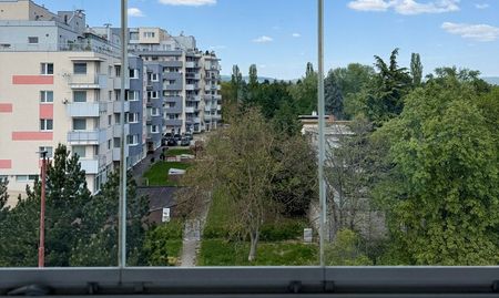 Podkrovný 3-izbový byt s krbom a garážou pri lesoparku - Photo 3