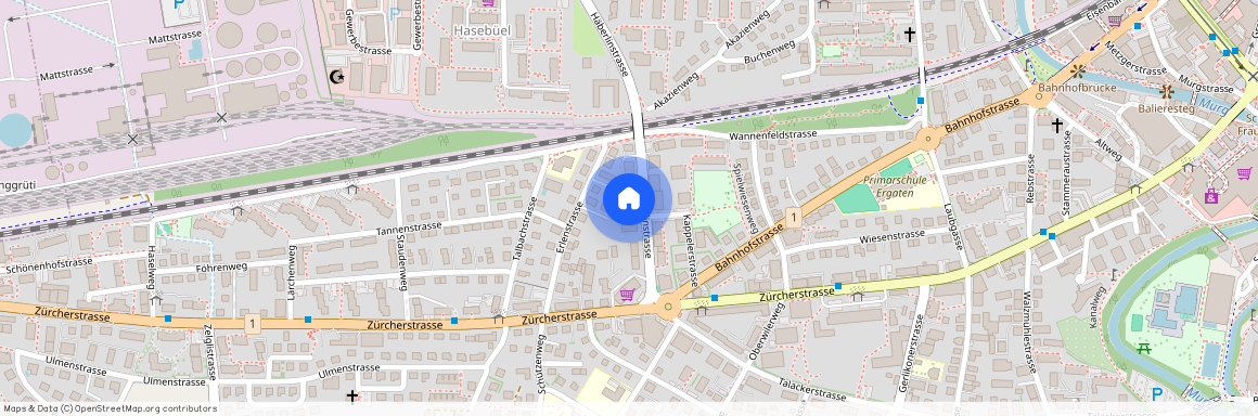 Häberlinstrasse 11, 8500 Frauenfeld