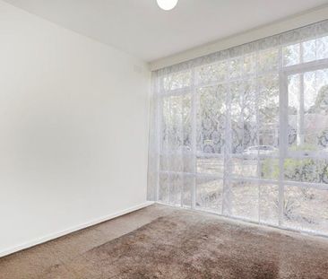 2/20 Valentine Grove, Armadale VIC 3143 - Apartment For Rent | Domain - Photo 3