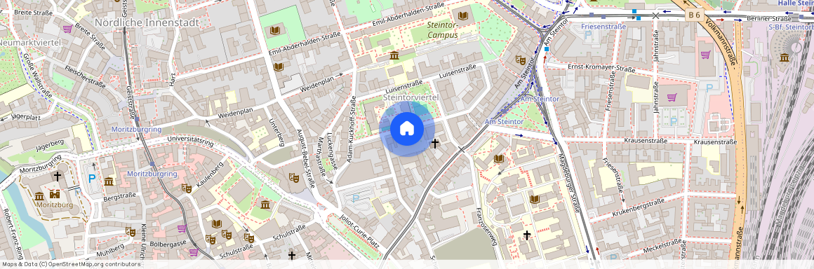 Johann-Andreas-Segner-Straße 8, 06108 Sachsen-Anhalt - Halle