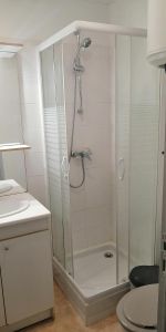 Location Appartement 1 pièce 19m² ALBI 81000 - Photo 4