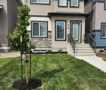 1 Bedroom Basement Suite | 7008 181 Avenue Northwest, Edmonton - Photo 1