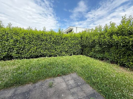location Maison 3 pièces à Colmar - REF 5284-RS - Photo 1