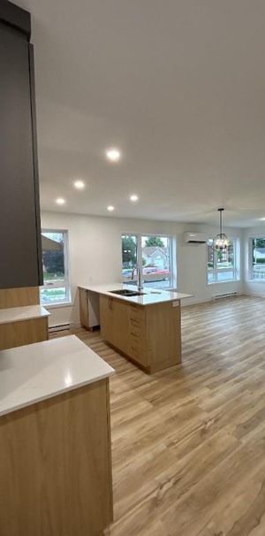 4 1/2 Acton vale - Photo 1