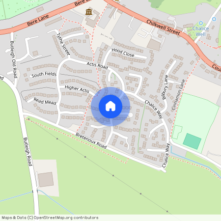 Actis Road, Glastonbury