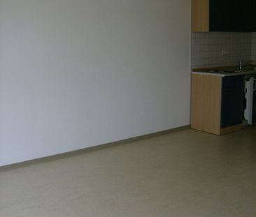 SANKT AUGUSTIN-NIEDERPLEIS, 1 Zi. Appartement mit 30 m² Wfl. mit Single-Küche und Dusche/WC - Photo 1