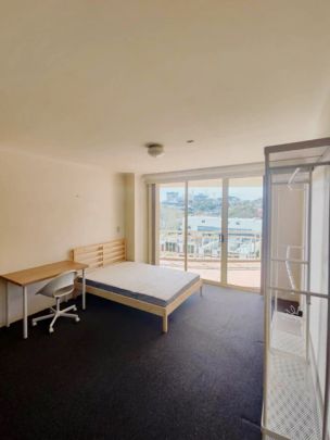 3 bed 2 bath-35 - Photo 1