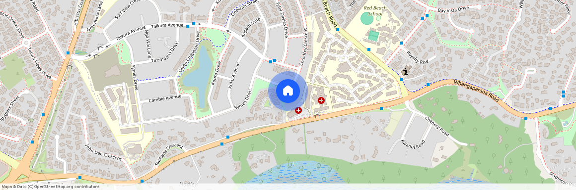 Couldrey Crescent, Red Beach, Rodney