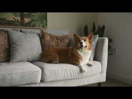 2 Bed Flat, Bradford Street, B12 - Photo 3