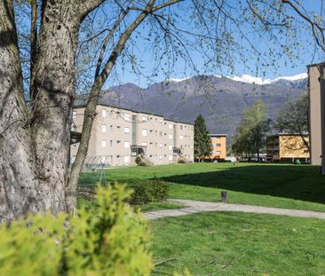 Spazioso e luminoso 1.5 locali immerso nel verde - Foto 4