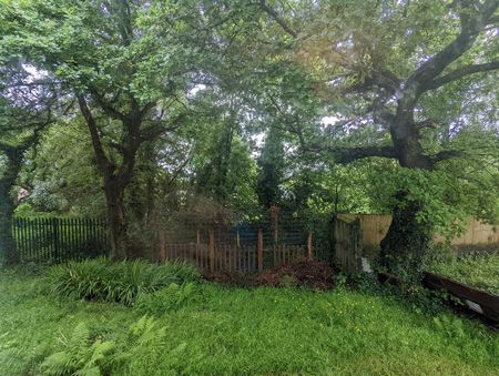 Studio to rent - Photo 4