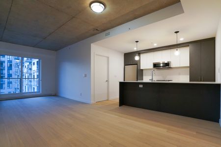 Condo construction 2023 de 2 chambres offert en location semi-meublé - Photo 3