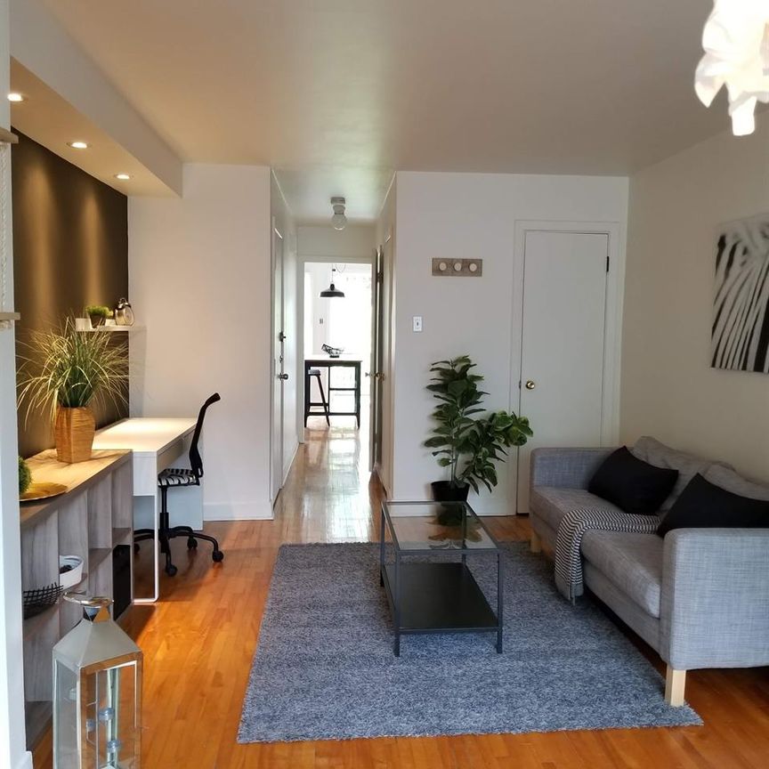 1 CH - 1 SDB - Montréal - $1,445 /mo - Photo 1