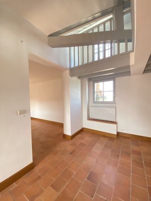 Location Appartement 3 pièces 97m² SAUMUR 49400 - Photo 1