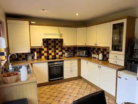 135 Minorca Drive, Carrickfergus, BT38 8WS - Photo 5