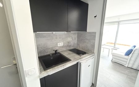 Location Studio + cellier + piscine Le grau-du-roi - Photo 3