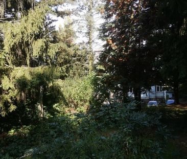 Sehr geräumige 5-Zimmerwohnung in Villa mit großer Terrasse - Photo 2