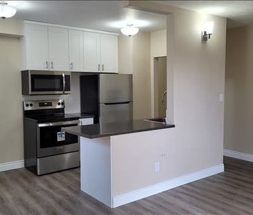 For Lease - 416 E 42nd Street Unit# 208, Hamilton, Ontario - Photo 5