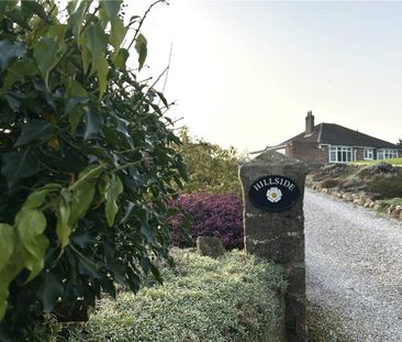 Available as a Company Tenancy, this delightful and recently refurb... - Photo 6