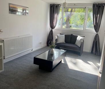 1 Bed Flat, Club Garden Road, S11 - Photo 6