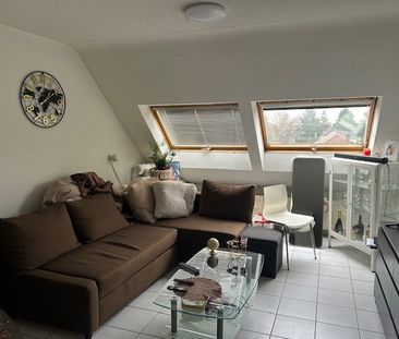 Studio gelegen op wandelafstand van de Nederlandse grens - Photo 2