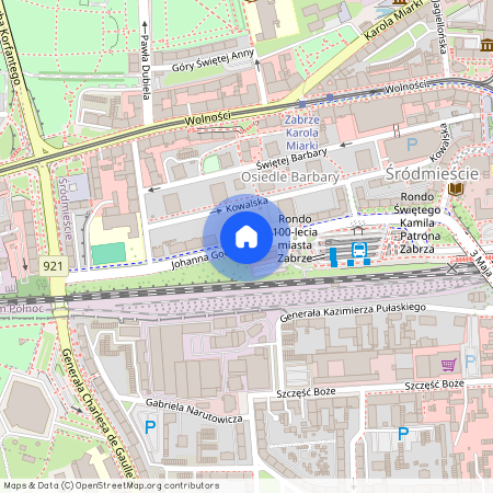 Johanna Goethego, Zabrze