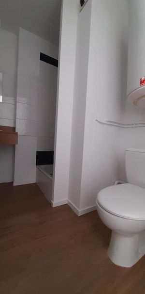 Location Appartement 1 pièce 28m² NANTES 44100 - Photo 1