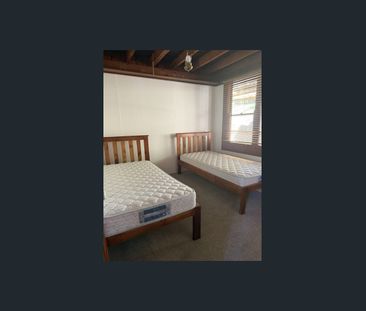 2 bedroom cottage in a beautiful bush setting - Photo 2