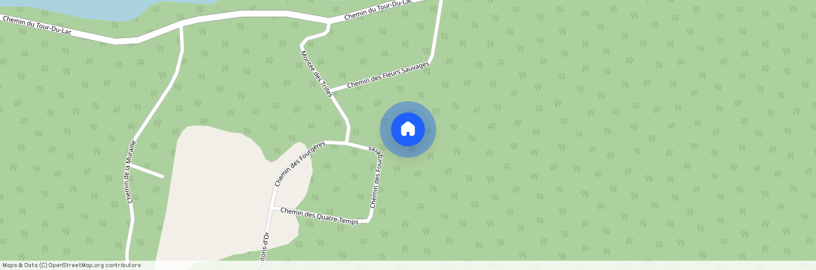 32 Chemin des Fougères, Mont-Tremblant, Mont-Tremblant, Laurentides, J8E 2V2