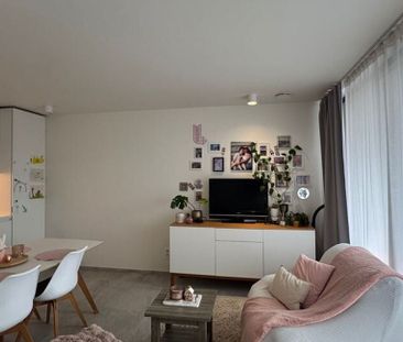 Appartement te huur in Mol voor € 735 met 1 slaapkamer - Photo 4