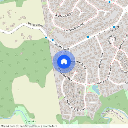 22 Waltham Street, Henderson, Waitakere City