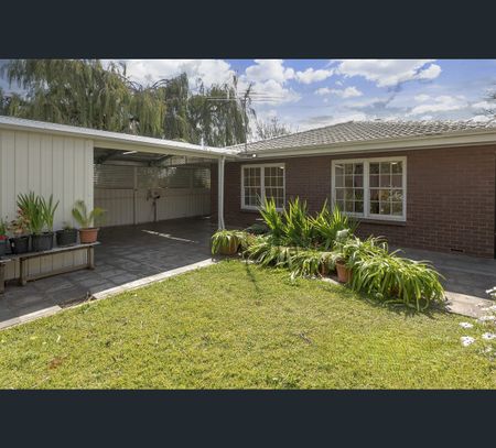 33 Daphne Street, Prospect, SA 5082 - Photo 4