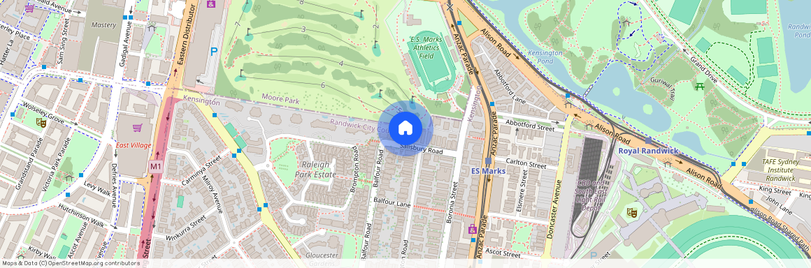 21 Salisbury Road Kensington, NSW 2033