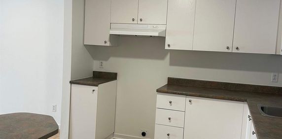 1 CH - 1 SDB - Saint-Charles-Borromée - $1,249 /mo - Photo 2
