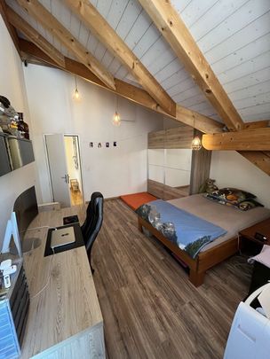 APPARTEMENT DE 2 PIÈCES À EGLISAU (ZH), MEUBLÉ, TEMPORAIRE - Foto 1