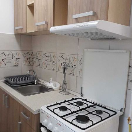 Inchiriere apartament 1 camera - Photo 1
