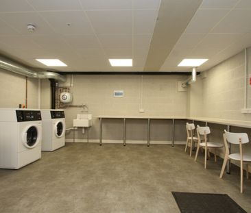 1 bed Apartment for Rent - Photo 5