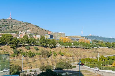 Piso de alquiler en Carrer de Sant Mateu, 10, Can Vidalet - Photo 5