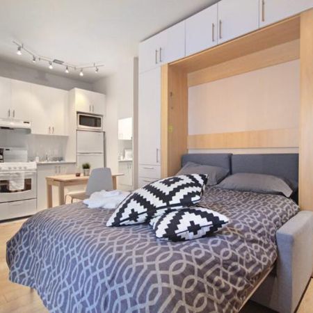 Loft entièrement meublé à louer Saint-Jean-Baptiste juillet 2026 - Photo 3