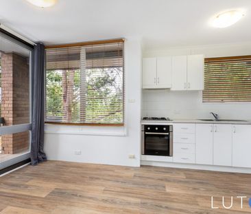 11C/6 Irvine Street, Watson ACT 2602 - Apartment For Rent | Domain - Photo 2