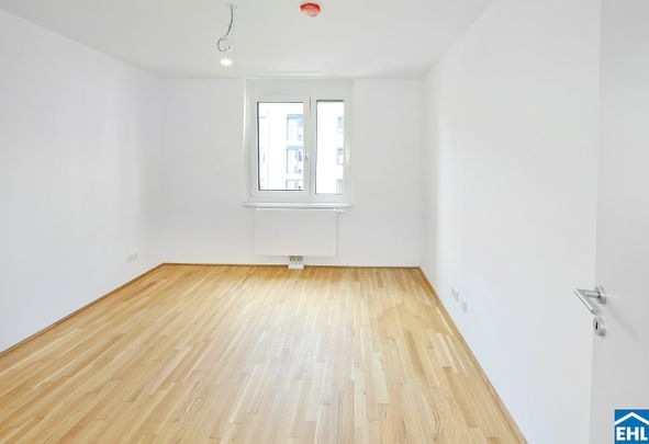 DER BALLON - Ankommen und abheben - NATURNAHES WOHNEN NAHE DER SEESTADT ASPERN - Photo 1