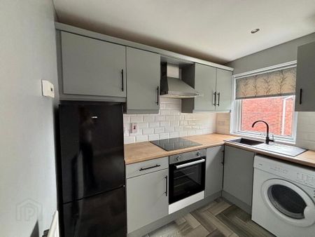 31 Bexley Mews, Bangor, BT19 7XH - Photo 5