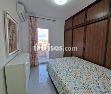 Piso en alquiler en Puerto Marina - Photo 6