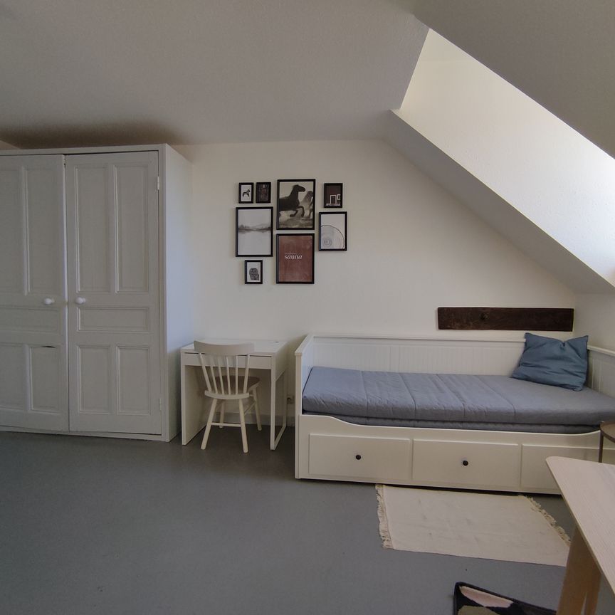 Location Appartement 1 pièce 18m² BELFORT 90000 - Photo 1