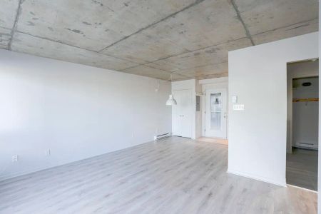 325, rue de Saint-Vallier — 4 1/2 - Photo 5