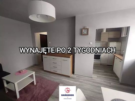 Mieszkanie Do Wynajęcia - Zdjęcie 1